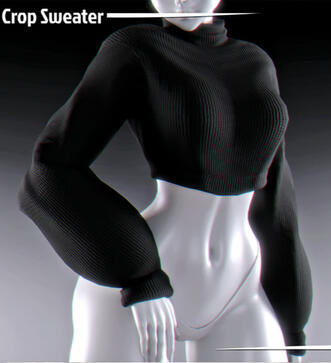 Crop Top Sweater $5